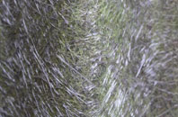 Rennington fibreglass roof work